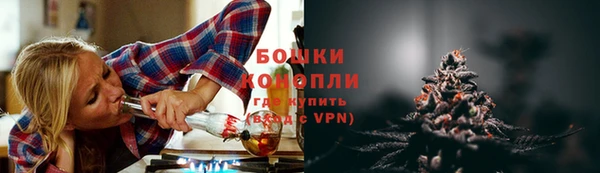 крисы Ветлуга
