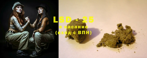 PSILOCYBIN Михайлов