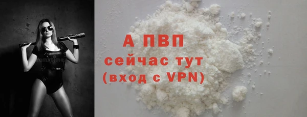 PSILOCYBIN Михайлов