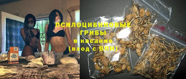 PSILOCYBIN Михайлов