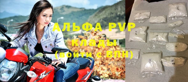 PSILOCYBIN Михайлов