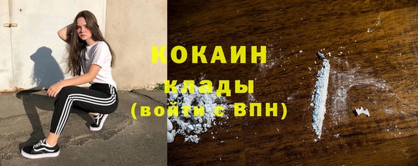 PSILOCYBIN Михайлов