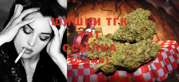 PSILOCYBIN Михайлов