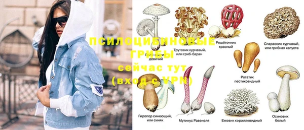 PSILOCYBIN Михайлов